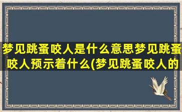 梦见跳蚤咬人是什么意思梦见跳蚤咬人预示着什么(梦见跳蚤咬人的含义及预示，解析跳蚤咬人梦象)