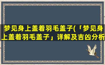 梦见身上盖着羽毛盖子(「梦见身上盖着羽毛盖子」详解及吉凶分析)