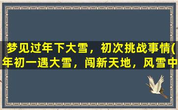 梦见过年下大雪，初次挑战事情(年初一遇大雪，闯新天地，风雪中挑战自我)