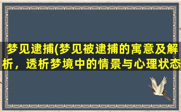 梦见逮捕(梦见被逮捕的寓意及解析，透析梦境中的情景与心理状态)