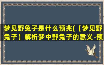 梦见野兔子是什么预兆(【梦见野兔子】解析梦中野兔子的意义-预示什么？)