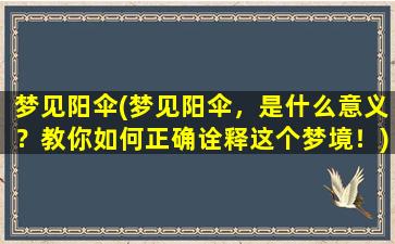 梦见阳伞(梦见阳伞，是什么意义？教你如何正确诠释这个梦境！)