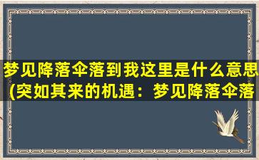 梦见降落伞落到我这里是什么意思(突如其来的机遇：梦见降落伞落到身边)