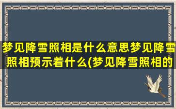 梦见降雪照相是什么意思梦见降雪照相预示着什么(梦见降雪照相的意义及预示)