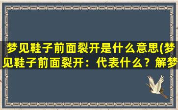 梦见鞋子前面裂开是什么意思(梦见鞋子前面裂开：代表什么？解梦专家告诉你！)