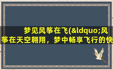 梦见风筝在飞(“风筝在天空翱翔，梦中畅享飞行的快乐”)