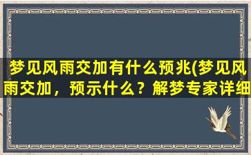 梦见风雨交加有什么预兆(梦见风雨交加，预示什么？解梦专家详细解析！)