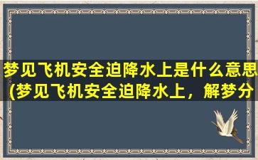 梦见飞机安全迫降水上是什么意思(梦见飞机安全迫降水上，解梦分析及心理学解释)