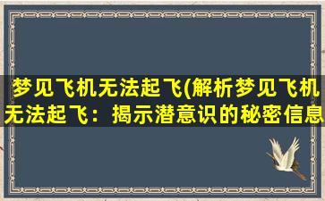 梦见飞机无法起飞(解析梦见飞机无法起飞：揭示潜意识的秘密信息)