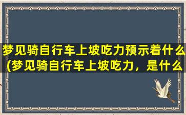 梦见骑自行车上坡吃力预示着什么(梦见骑自行车上坡吃力，是什么意思？解析梦境*)