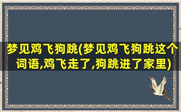 梦见鸡飞狗跳(梦见鸡飞狗跳这个词语,鸡飞走了,狗跳进了家里)