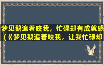 梦见鹅追着咬我，忙碌却有成就感(《梦见鹅追着咬我，让我忙碌却有成就感的启示》)