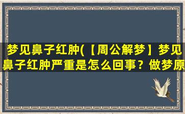 梦见鼻子红肿(【周公解梦】梦见鼻子红肿严重是怎么回事？做梦原因分析！)