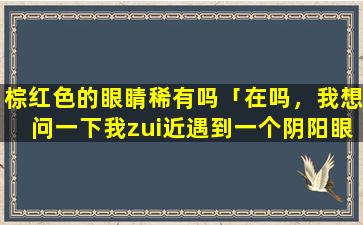 棕红色的眼睛稀有吗「在吗，我想问一下我zui近遇到一个阴阳眼的人，是好还是坏啊」