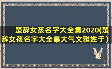 楚辞女孩名字大全集2020(楚辞女孩名字大全集大气文雅姓于）