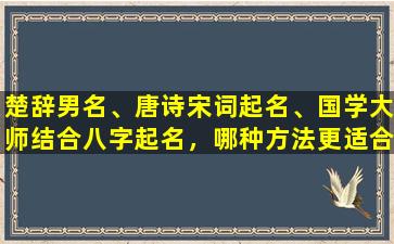 楚辞男名、唐诗宋词起名、国学大师结合八字起名，哪种方法更适合给孩子取名