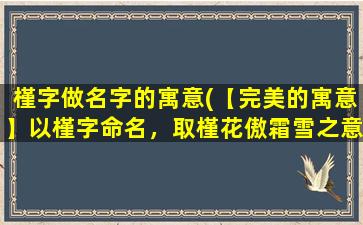 槿字做名字的寓意(【完美的寓意】以槿字命名，取槿花傲霜雪之意，含蕴坚毅坚韧之气，寓意完美的生命哲学。)