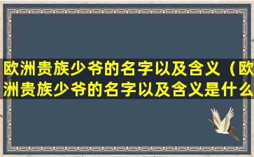 欧洲贵族少爷的名字以及含义（欧洲贵族少爷的名字以及含义是什么）