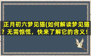 正月初六梦见猫(如何解读梦见猫？无需惊慌，快来了解它的含义！)