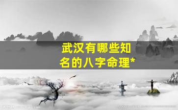 武汉有哪些知名的八字命理*