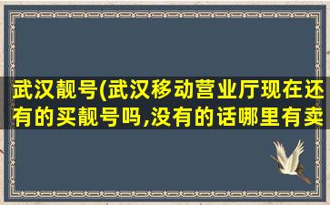 武汉靓号(武汉移动营业厅现在还有的买靓号吗,没有的话哪里有卖)