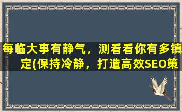 每临大事有静气，测看看你有多镇定(保持冷静，打造高效SEO策略)