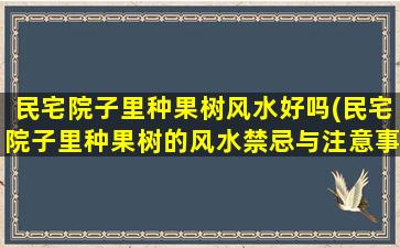 民宅院子里种果树风水好吗(民宅院子里种果树的风水禁忌与注意事项)