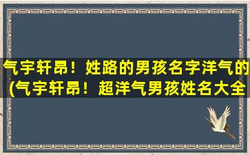 气宇轩昂！姓路的男孩名字洋气的(气宇轩昂！超洋气男孩姓名大全汇总)