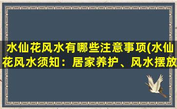 水仙花风水有哪些注意事项(水仙花风水须知：居家养护、风水摆放禁忌、宜忌搭配等！)