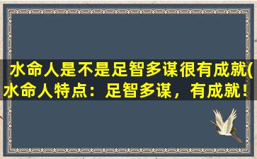 水命人是不是足智多谋很有成就(水命人特点：足智多谋，有成就！)