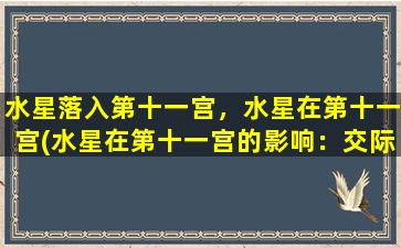 水星落入第十一宫，水星在第十一宫(水星在第十一宫的影响：交际圈如何影响你？)