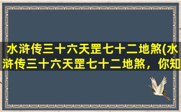 水浒传三十六天罡七十二地煞(水浒传三十六天罡七十二地煞，你知道多少？天罡地煞大全，详解每一位的特点和故事！)