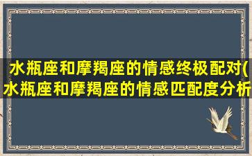 水瓶座和摩羯座的情感终极配对(水瓶座和摩羯座的情感匹配度分析)