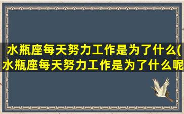 水瓶座每天努力工作是为了什么(水瓶座每天努力工作是为了什么呢）