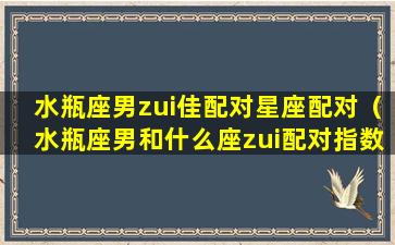 水瓶座男zui佳配对星座配对（水瓶座男和什么座zui配对指数）