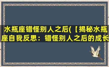 水瓶座错怪别人之后(【揭秘水瓶座自我反思：错怪别人之后的成长与启示】)