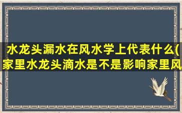 水龙头漏水在风水学上代表什么(家里水龙头滴水是不是影响家里风水)