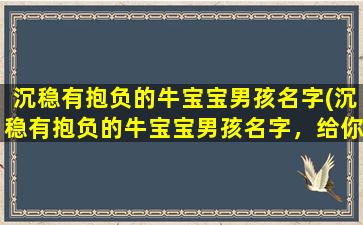 沉稳有抱负的牛宝宝男孩名字(沉稳有抱负的牛宝宝男孩名字，给你的宝贝起一个影响力极强的姓名)