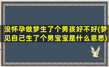 没怀孕做梦生了个男孩好不好(梦见自己生了个男宝宝是什么意思)