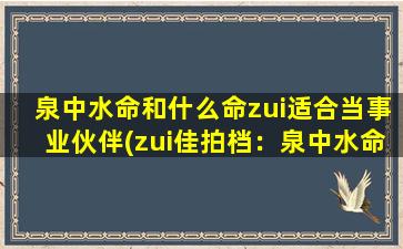 泉中水命和什么命zui适合当事业伙伴(zui佳拍档：泉中水命搭配TAzui靠谱)