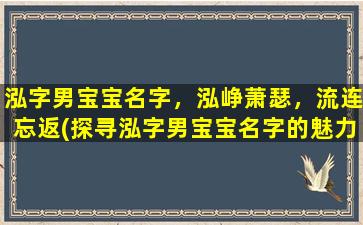 泓字男宝宝名字，泓峥萧瑟，流连忘返(探寻泓字男宝宝名字的魅力：泓峥萧瑟，流连忘返)