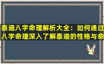 泰迪八字命理解析大全：如何通过八字命理深入了解泰迪的性格与命运