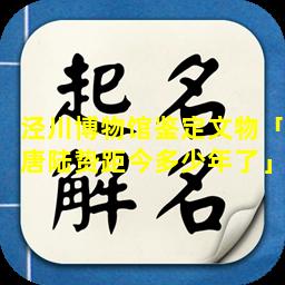 泾川博物馆鉴定文物「唐陆贽距今多少年了」