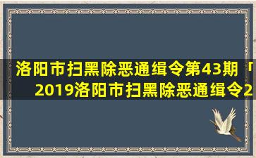 洛阳市扫黑除恶通缉令第43期「2019洛阳市扫黑除恶通缉令21期」