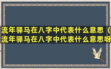 流年驿马在八字中代表什么意思（流年驿马在八字中代表什么意思呀）