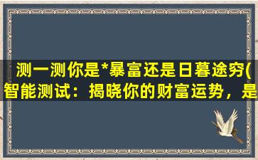 测一测你是*暴富还是日暮途穷(智能测试：揭晓你的财富运势，是*暴富还是日暮途穷？)