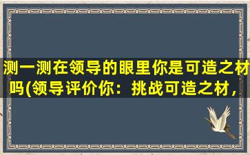 测一测在领导的眼里你是可造之材吗(领导评价你：挑战可造之材，测试看看你的表现！)