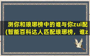 测你和琅琊榜中的谁与你zui配(智能百科达人匹配琅琊榜，谁zui配？)