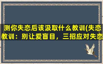 测你失恋后该汲取什么教训(失恋教训：别让爱盲目，三招应对失恋的正确姿势！)