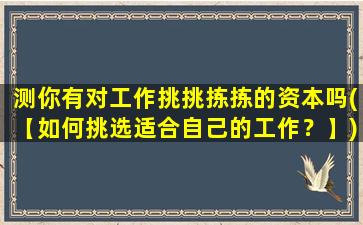 测你有对工作挑挑拣拣的资本吗(【如何挑选适合自己的工作？】)